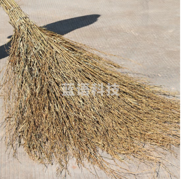 Supercloud 大扫把竹环卫马路物业柏油道路地面清扫清洁大号笤帚扫帚 竹枝连体5斤款