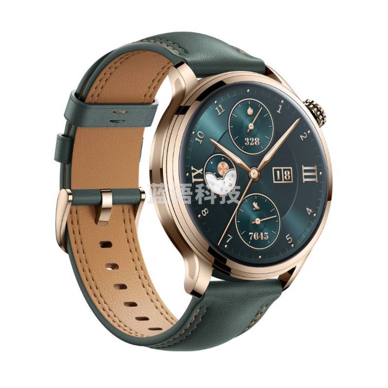 荣耀（HONOR）手表4 Pro 墨绿色黄金镀层超窄边常亮屏10天eSIM超长续航运动智能手表镜月翡翠