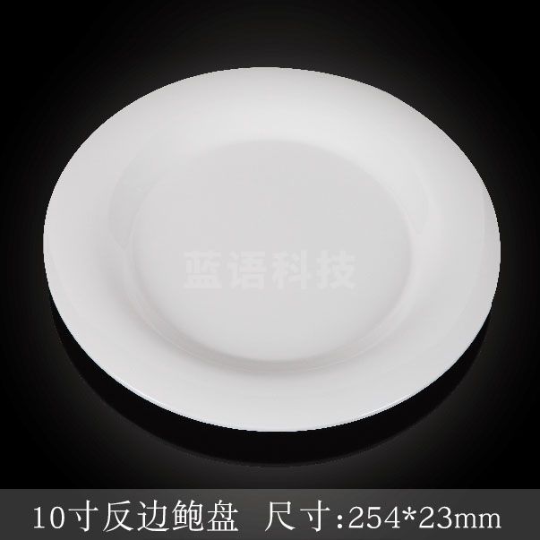 台顺密胺餐具1010-2 10寸反边鲍盘5个起售
