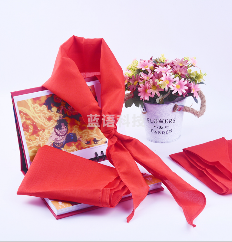 晨光 ASCN9524 1米红领巾