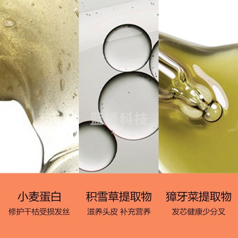 柏缇（POTE）小麦蛋白修护洗发露475ml滋养顺滑改善毛躁持久留香洗发露