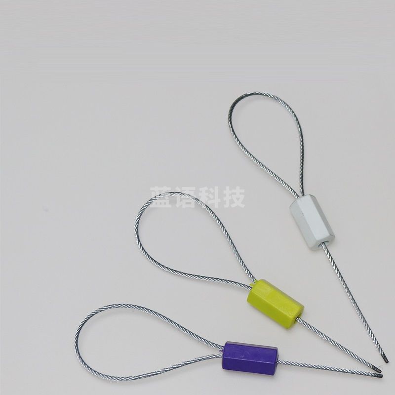 一次性钢丝封条 带防盗封铅锁扣