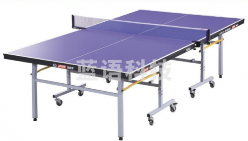 红双喜（DHS） 红双喜乒乓球桌