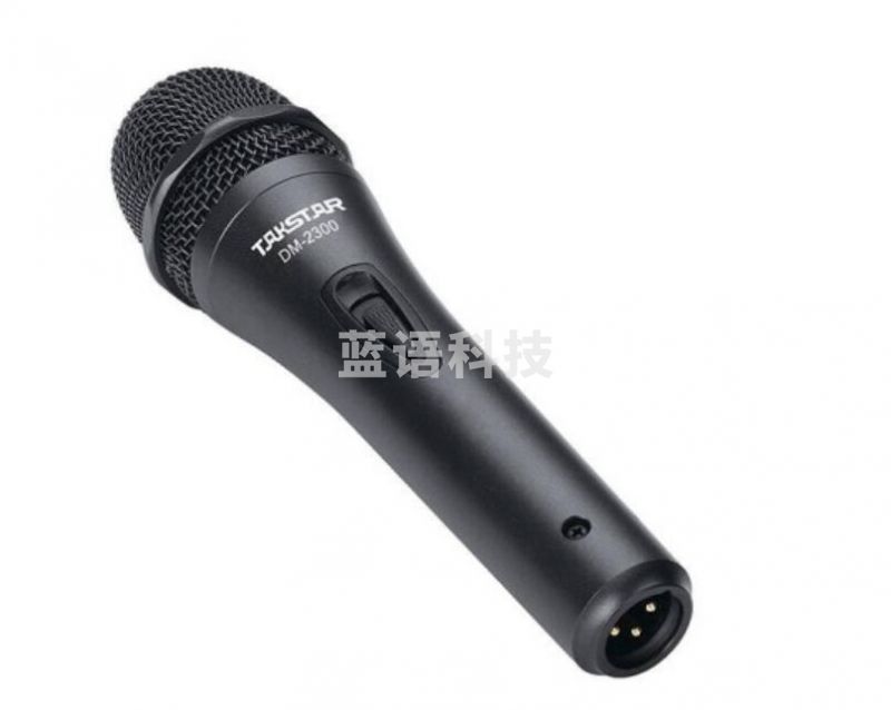 得胜 (TAKSTAR) DM-2300 专业有线动圈麦克风舞台演出主持家用K歌KTV唱歌音箱专用话筒 得胜DM-2300直线版