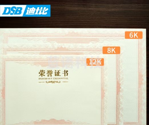 DSB 6K配套内芯纸 10张 荣誉证书奖状授权书培训结业任命书内芯 050816