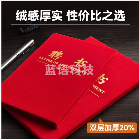 DSB（迪士比）【10本装】大12K聘书任命书聘书外壳公司员工颁奖证书 烫金经典款10本装（附20页内芯）050818