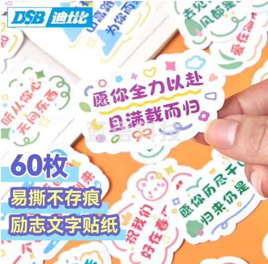 DSB（迪士比）奖励小贴纸励志文字贴纸鼓励语录儿童小学生奖品儿童节 励志贴纸60贴 RS-210