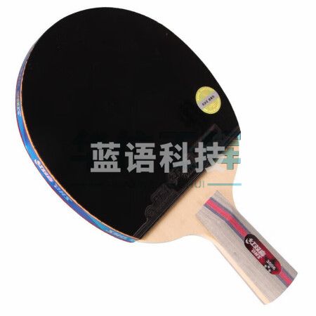 红双喜(DHS)三星乒乓球拍 直拍H3006单拍