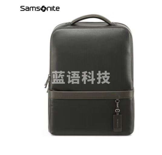 新秀丽（Samsonite）电脑包牛皮男包男士双肩包笔记本包精英商务BC9*09101黑色