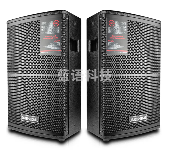 菱声（LINGSHENG） SP-10专业舞台音响套装婚庆活动全频户外演出音箱 10吋