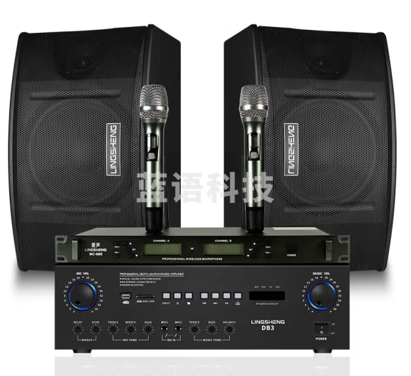 菱声（LINGSHENG） 家庭KTV音响套装会议室音响设备店铺壁挂音箱专业卡包音响酒吧 一拖二会议音响套装A(使用面积50-150平)