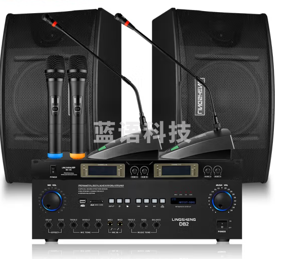 菱声（LINGSHENG） 家庭KTV音响套装会议室音响设备店铺壁挂音箱专业卡包音响酒吧 一拖二会议音响套装B(使用面积50-150平)