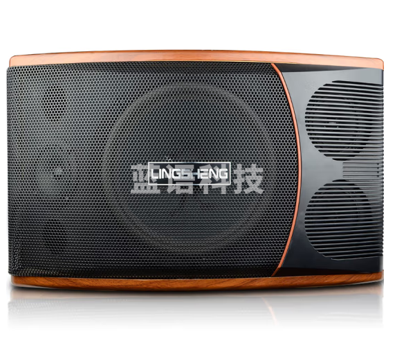 菱声（LINGSHENG） 家庭KTV音响套装会议室音响设备店铺壁挂音箱专业卡包音响酒吧 10英寸KT-5310音箱一只