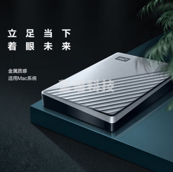 西部数据(WD) WDBKYJ0020BSL 2TB 移动硬盘 Type-C Mac专用 My Passport Ultra2.5 英寸 银 机械外接硬盘 便携存储 密码保护