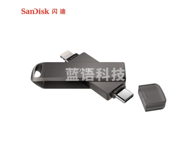 闪迪（SanDisk） U盘套装 手机U盘旋转设计手机电脑双接口密码保护 苹果MFI认证 Lightning 欢欣i享 256G 套装