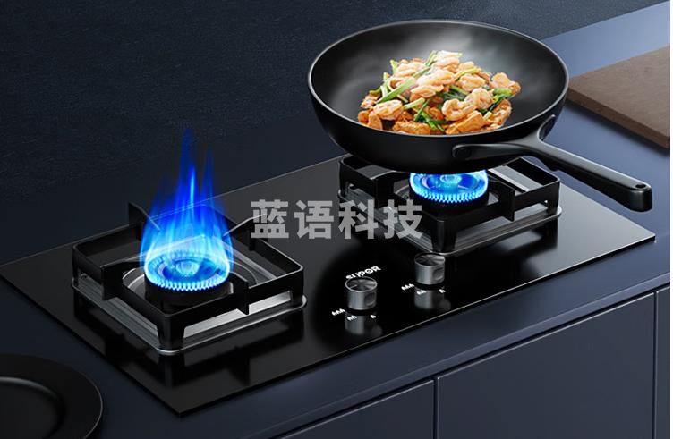 苏泊尔（SUPOR）家用天然气灶煤气灶5.0KW大火力液化气灶双灶台式嵌入式两用灶具液化气B15