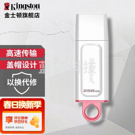 金士顿(Kingston) u盘 USB3.2 Gen 1 DTX高速车载闪存优盘 DTX-256GB(银白色)