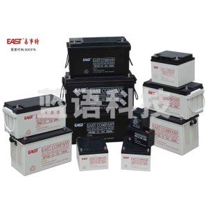 EAST易事特铅酸免维护蓄电池12V65AH (NP65-12)(单位：个)