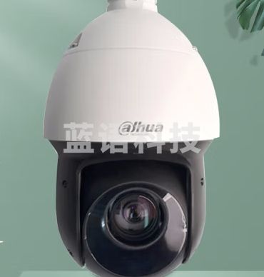 大华dahua球机 4G版 无网高速智能摄像头 4英寸 400万高清红外 100米照射 光学变焦需充值流量 49D423XB-GNR-DG
