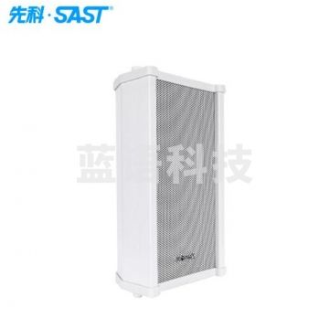 先科(SAST) K2 无线防水音柱壁挂音响喇叭