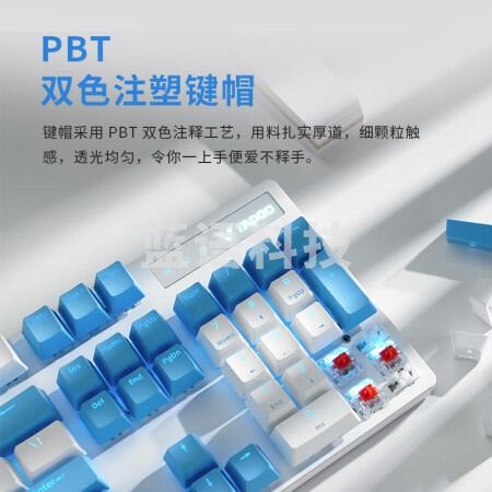雷柏（Rapoo） V500PRO碧海蓝天 机械键盘 有线键盘 游戏键盘 104键单光键盘 拼色键盘 PBT键帽 茶轴