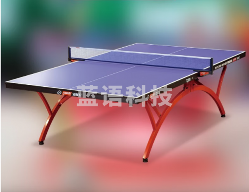 红双喜(DHS)乒乓球桌标准型