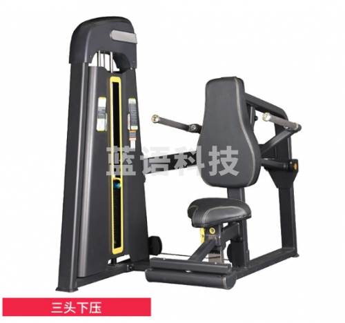 X-RIVALFITNESS EM1007 健身房商用力量器械 三头下压训练器