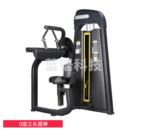 X-RIVALFITNESS 健身房商用力量器械 0度三头屈伸训练器