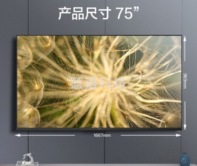 松下（Panasonic）电视LX560 75英寸 丽可彩4K全面屏MEMC HDR10 蓝牙语音 开机无广告智能电视 TH-75LX560C
