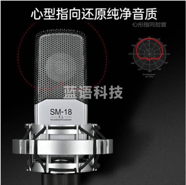 得胜（TAKSTAR） SM-18 EL麦克风  直播设备专业录音唱歌话筒手机电脑通用外置声卡套装 SM-18 EL  银色