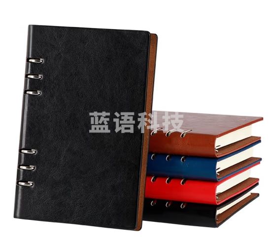 法拉蒙 faramon 活页笔记本子a 5商务记事本可拆卸活页笔记本子文具加厚日记本  黑色