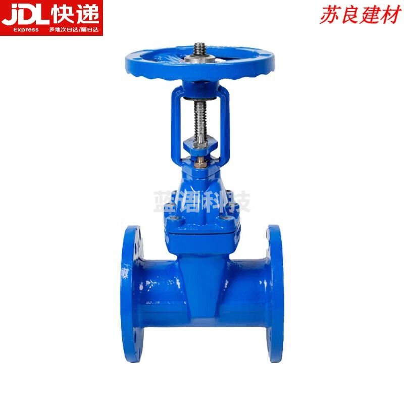 采之采 法兰明杆闸阀Z41X-16Q消防排污软密封铜芯阀门 DN50