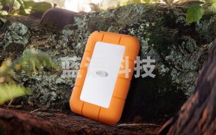 雷孜（lacie） 小金刚 移动固态硬盘 Rugged Mini SSD Type-C/USB3.2 4TB