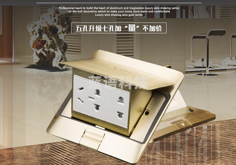 公牛（BULL） 公牛地插七孔地插五孔地插开关插座10A地面插座全铜防尘防水阻尼式五孔地插 双电脑地插