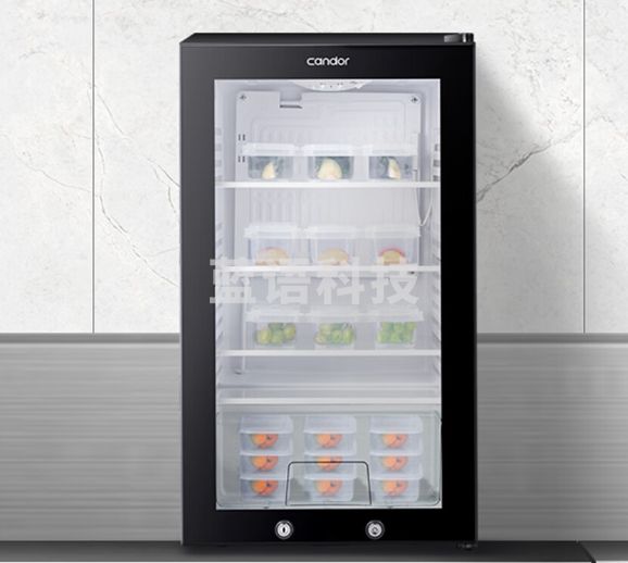 凯得 95升食品留样柜食堂用蔬菜保鲜学校幼儿园冰柜冰箱商用展示柜冷藏柜JC-95/HC 双锁 企业采购