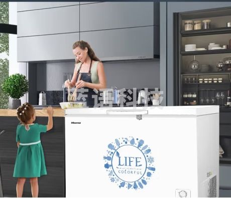 海信 (Hisense) 冰柜家用商用单温大冷柜308升 冷冻冷藏大容量一级能效保鲜柜BD/BC-308NU/A