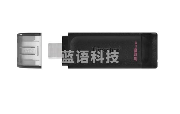 金士顿（Kingston）256GB USB3.2 Gen1 Type-C 大容量手机U盘 DT70 黑色 DT70/256GB