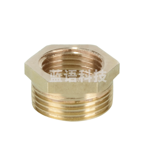 黄铜变径补芯20/15