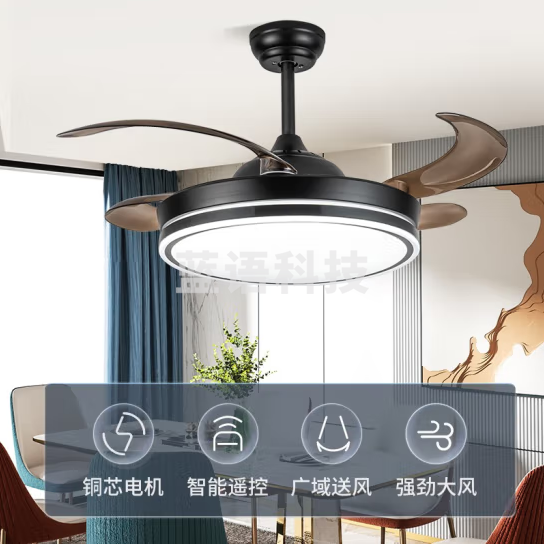 钻石牌（DIAMOND） 吊扇灯隐形风扇灯led客厅卧室吊灯饰现代简约电扇灯吸顶带灯吊扇 48寸黑色双圆-6档遥控-正反转