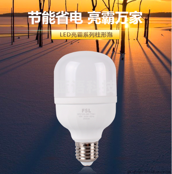 佛山照明(FSL)LED灯泡 E27大螺口节能灯 柱形 球泡42W白光6500K亮霸