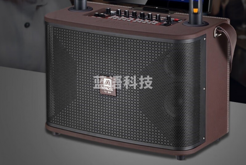 曼龙（MALONE）KT-333音响带显示屏卡拉OK一体机 320G+2支话筒 双系统