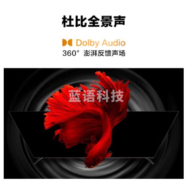 海尔（Haier）65R9 65英寸大屏电视 全通道144Hz高刷 4GB+64GB大内存 4K超高清智能客厅液晶平板电视机