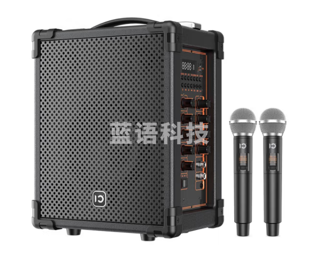 十度（ShiDu） H200专业广场舞音响 会议音响 蓝牙拉杆音箱 户外音响 标配双无线麦克风扩音器 经典黑-双无线