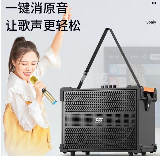 索爱（soaiy）SA-X38 8英寸大功率重低音广场舞音响移动户外蓝牙木质音箱扩音器带无线麦克风地摊喇叭声卡
