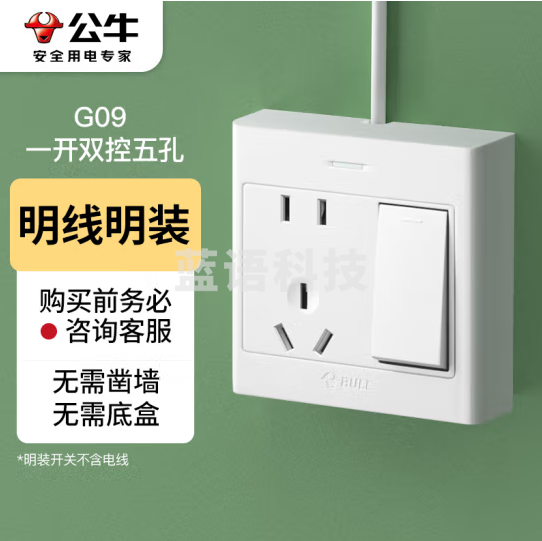 BULL/公牛 G09系列二三极+双控开关插座 G09E334S 10A 250V 明装 1个 销售单位：个