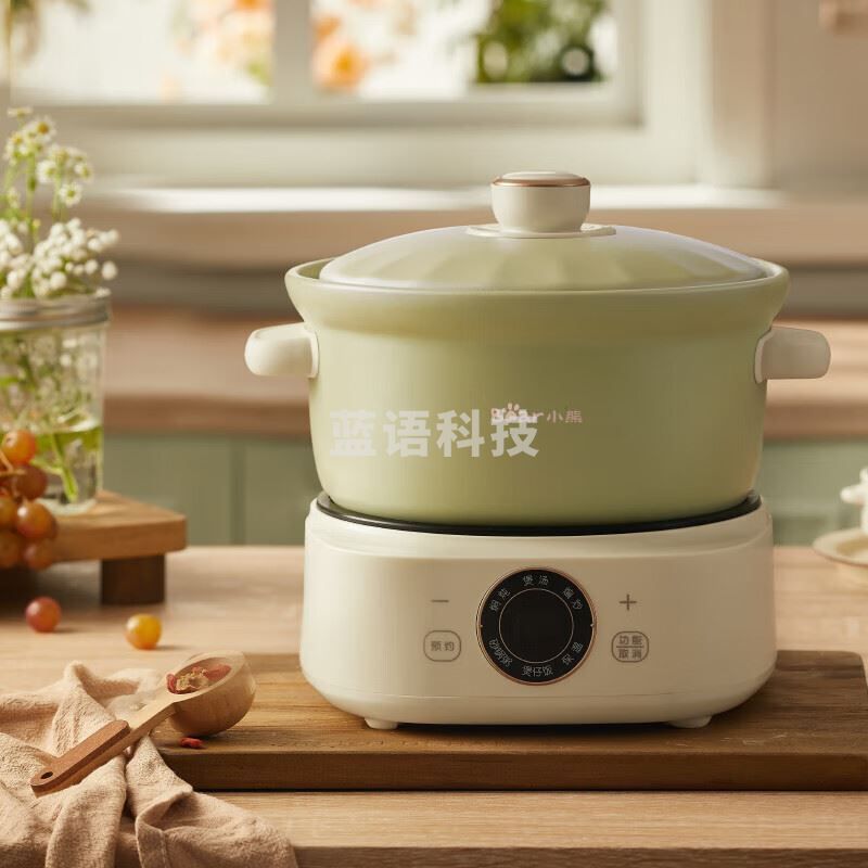小熊（Bear）电砂锅 电炖锅 煲汤锅 炖汤锅 电炖盅 焖炖锅 养生煮粥锅煲仔饭快炖分体式电砂锅DSG-D30S1 3L