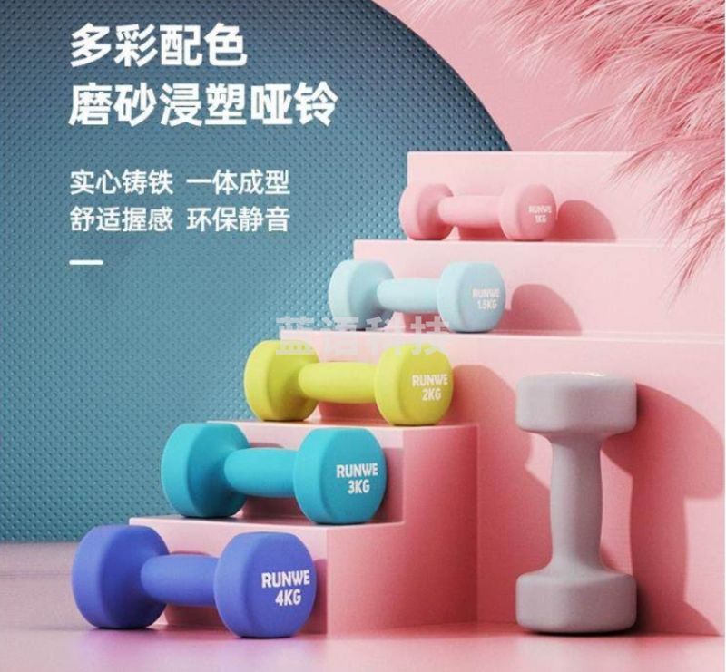 朗威 家用健身哑铃 铸铁哑铃 5kg*2  星空灰