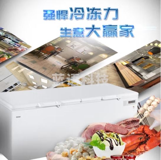 海尔冰柜商用大容量全冷冻家用冷藏冷冻两用一键转换-38度超低温冷柜海鲜速冻保鲜柜500升以上 BC/BD-1028T丨约冻1500斤｜