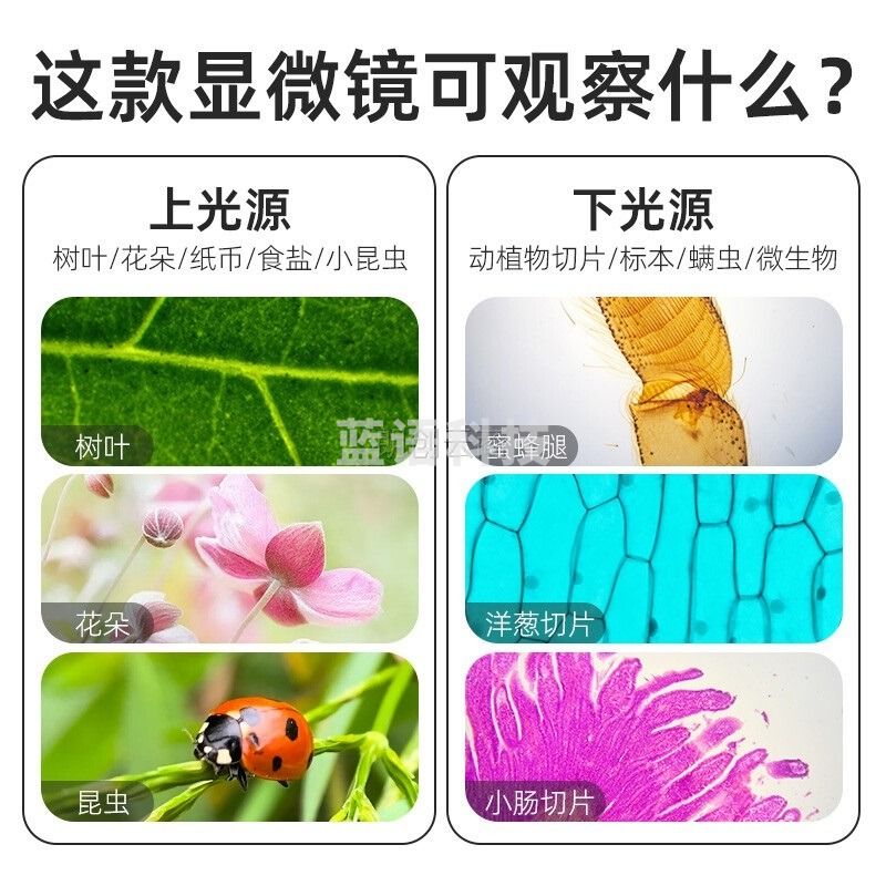麦克奥迪显微镜中小学生专业家用生物实验光学放大生日礼物