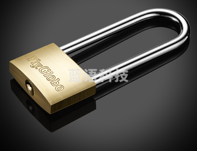 飞球（Fly.Globe）铜挂锁 防水防锈门锁 C*30MM